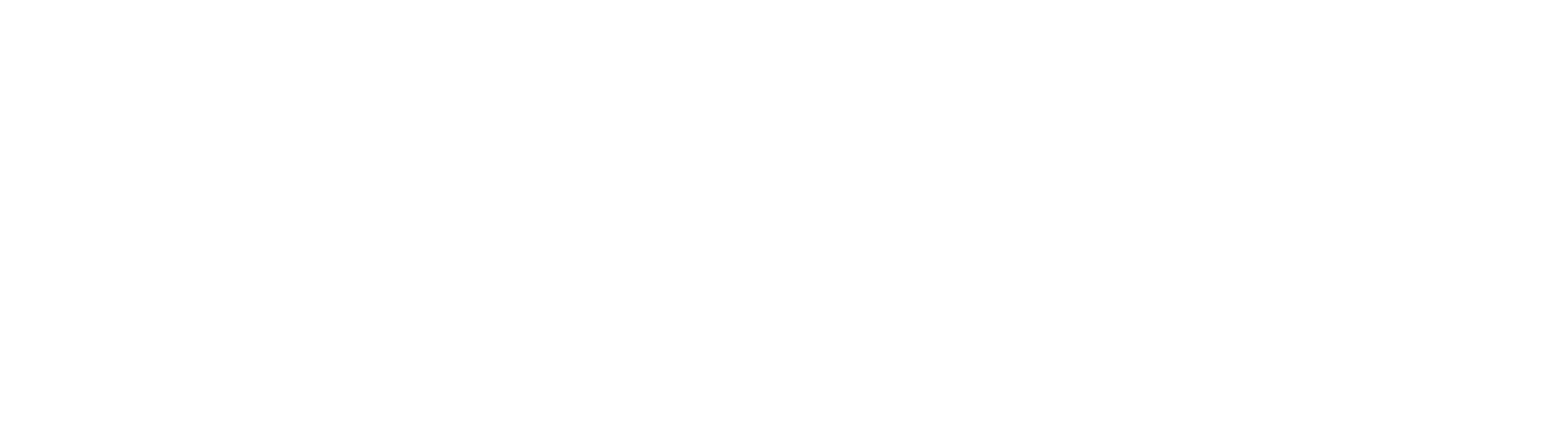 PayePass Logo