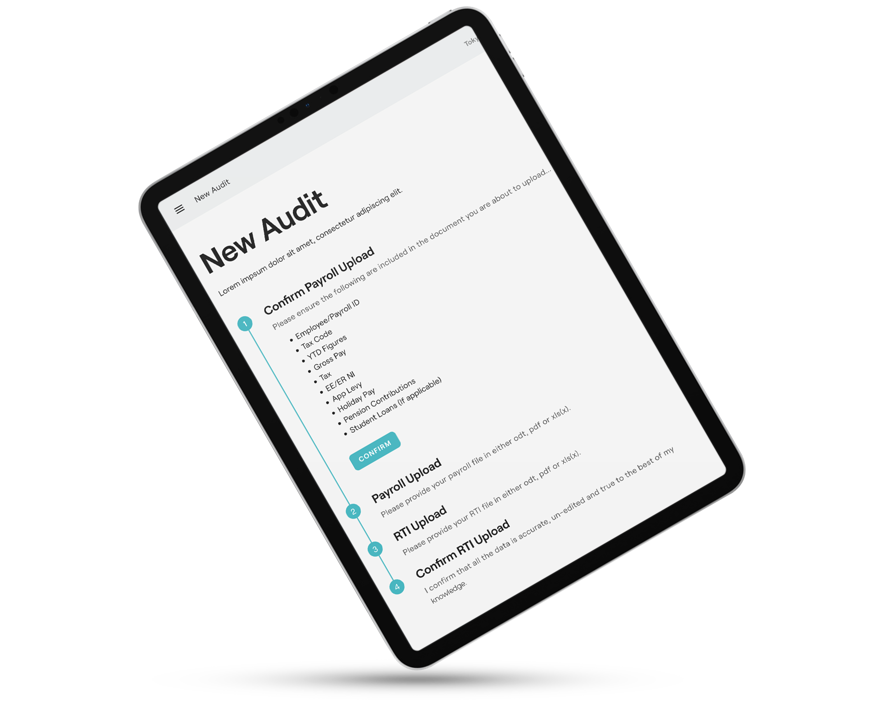 PayePass - Audit on an iPad